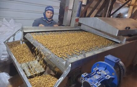 Mayur Balaji - Food Processing & Milling