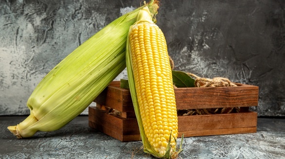 आजचा मका दर (Maka Rate Today) - Agricultural Products