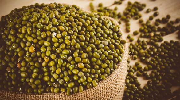 आजचा मूग दर | Moong Rate Today