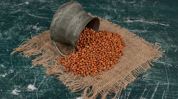 आजचा तूर दर (Toor Rate Today)