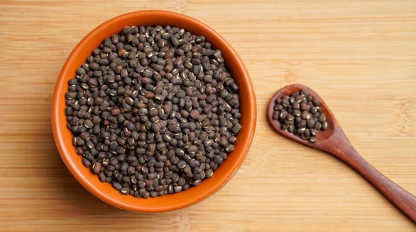 आजचा उडीद दर (Udid Rate Today)