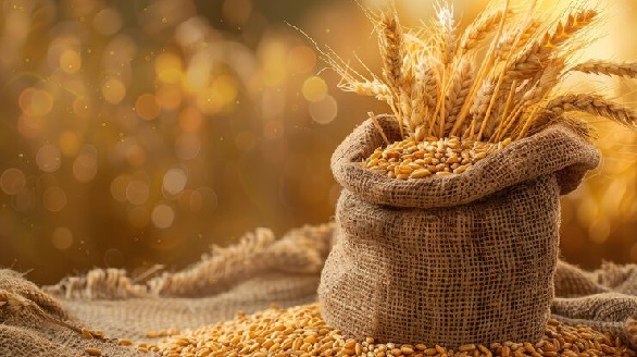 आजचा गहू दर प्रति क्विंटल – Today Gehu Rate (Agricultural Products)